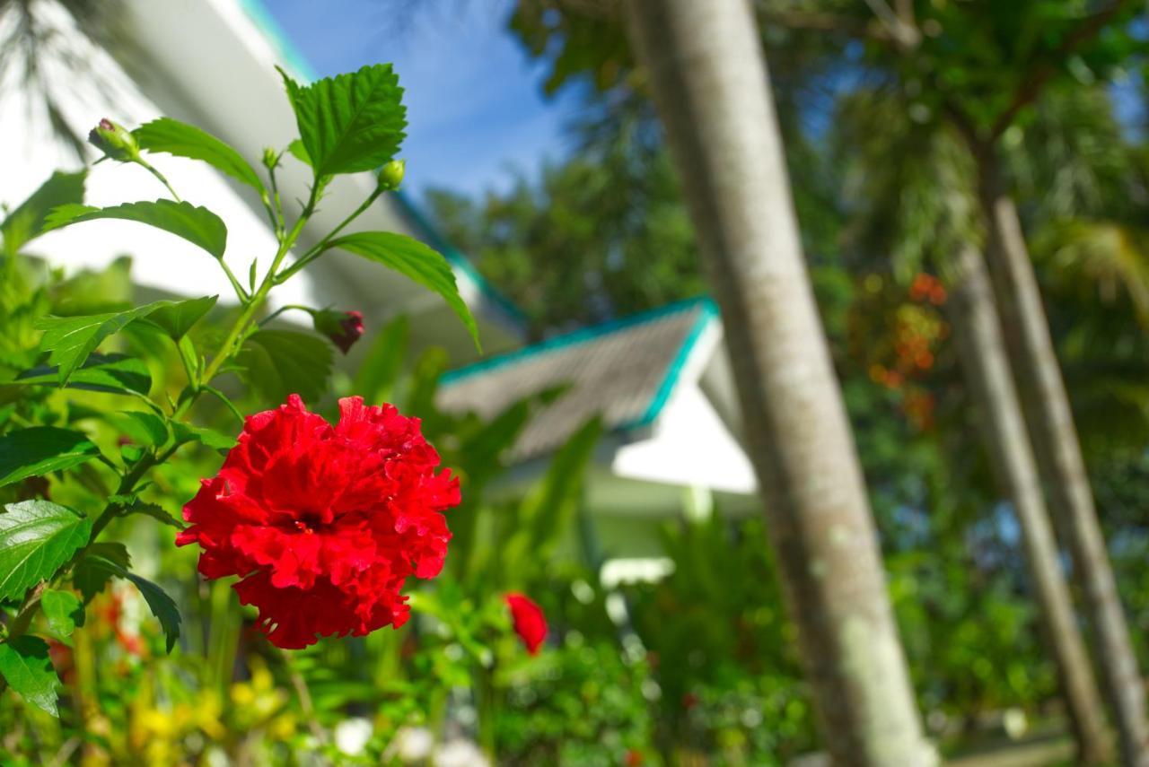 Sea View Resort كو ماك المظهر الخارجي الصورة